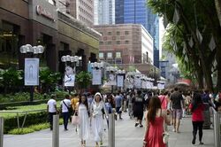 Orchard Road (D9), Retail #595193421